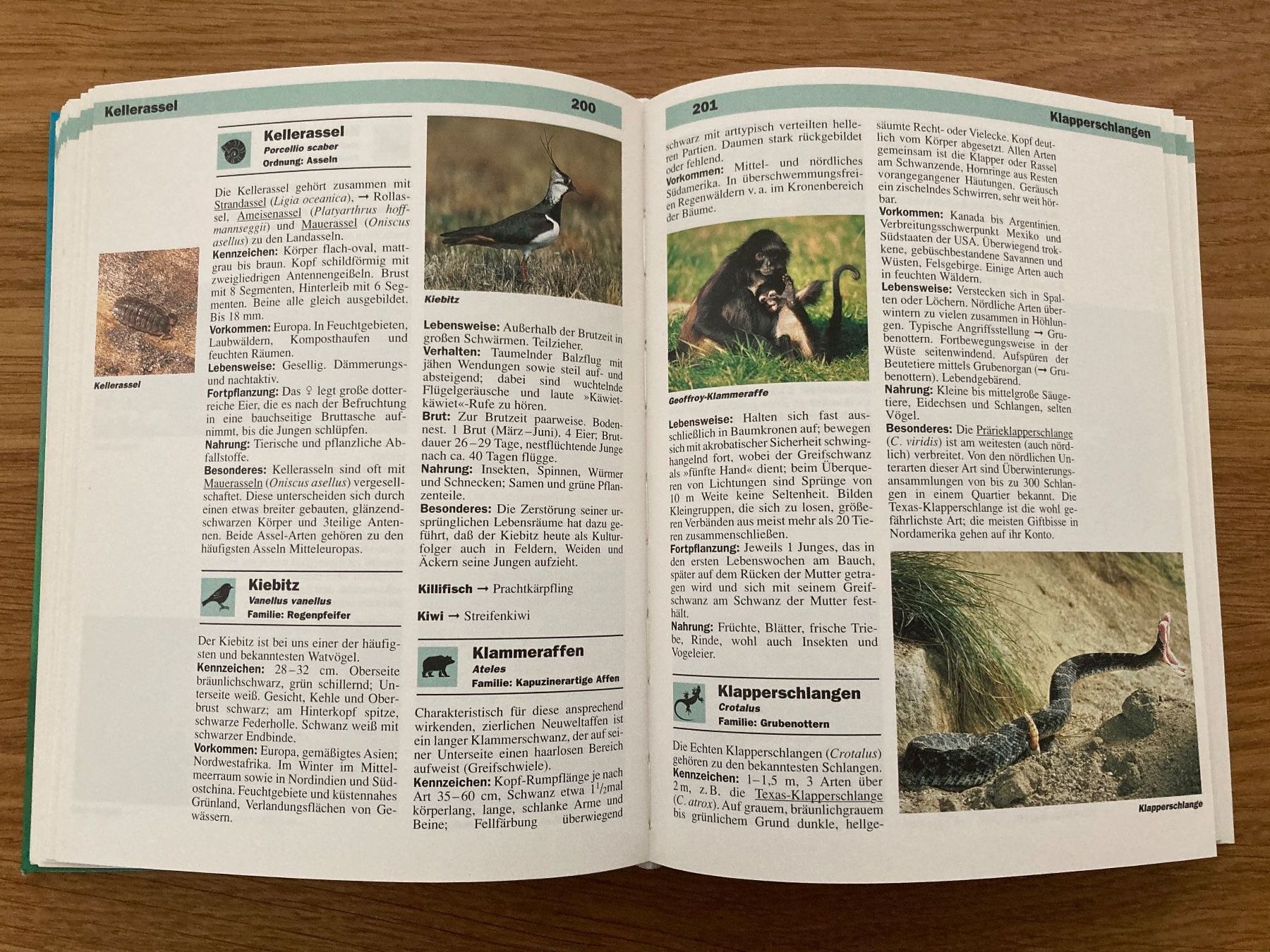 Libri: Grosses Tierlexikon - in Farbe mit über 1000 Abb. – Nuovo (secondo la descrizione) da Winterthur venduto da Quilterin 4