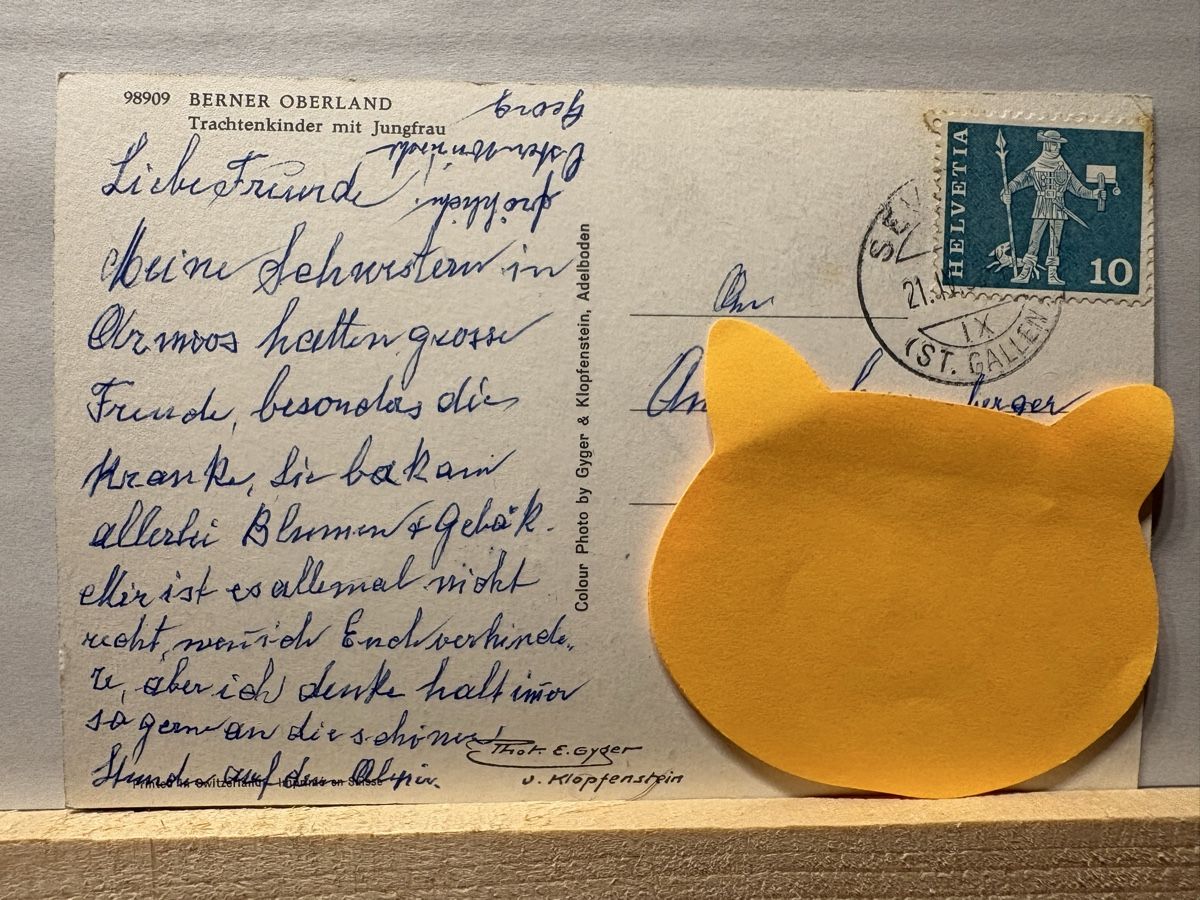 Cartoline postali: AK mit Berner Tracht – Usato da Rümlang venduto da Brieftaube1 2
