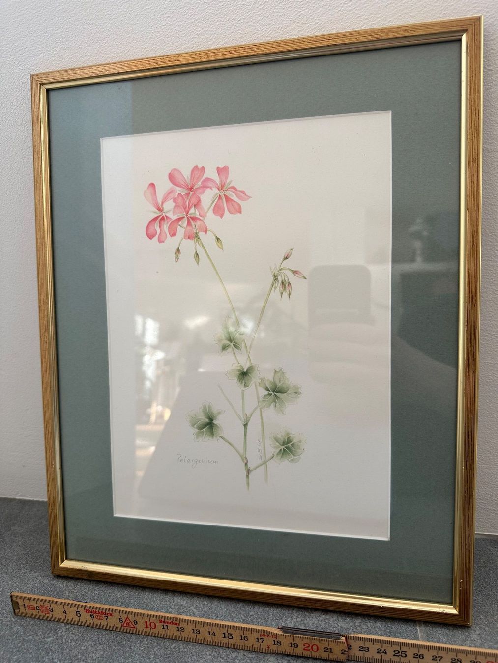 Tableaux: Sue Bartrop Botanical Art Sydney Pelargonium 1998 – D'occasion à Stettfurt par 2442