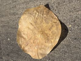 Trommelfell, Hirschhaut 55 cm (Nr.14)