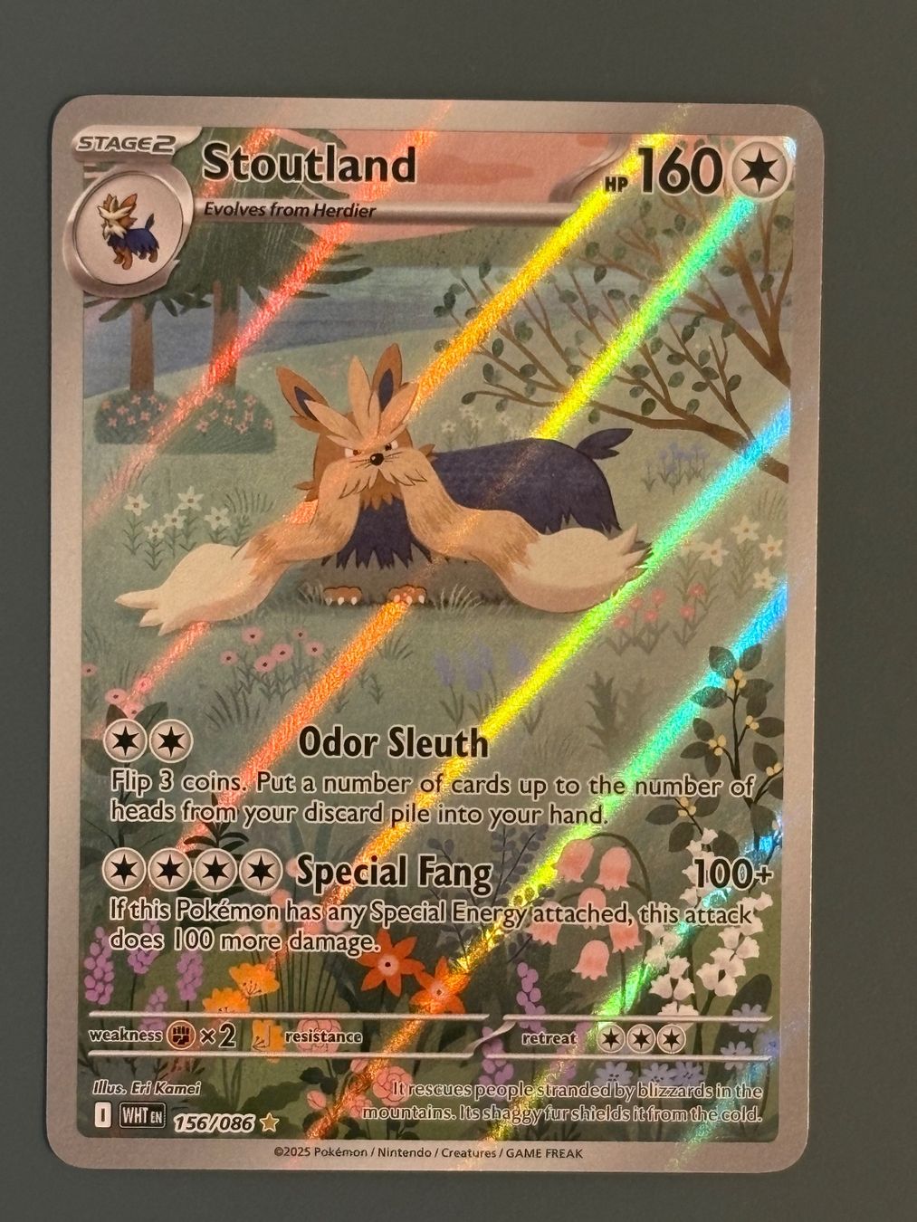 Pokémon Sammelbilder & Trading cards: Stoutland 156/086 - WHT - ENG – Neu (gemäss Beschreibung) aus Seewen SZ von Pokeace93