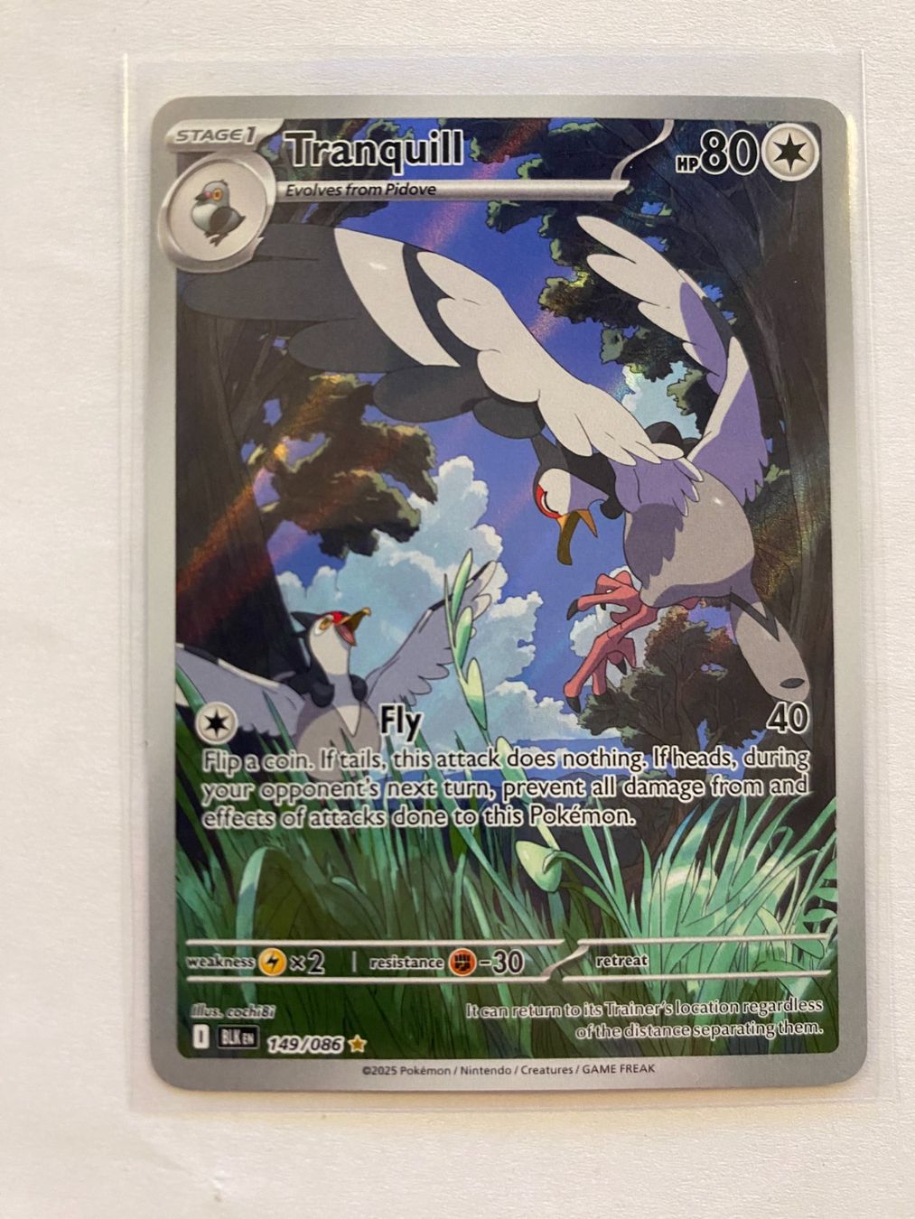Pokémon Carte collezionabili: Pokemon Tranquill 149/086 Black Bolt EN – Nuovo (secondo la descrizione) da Weingarten-Kalthäusern venduto da McGmavlo