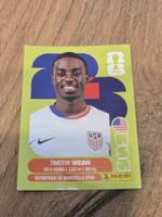 Panini Sticker Timothy Weah USA 12