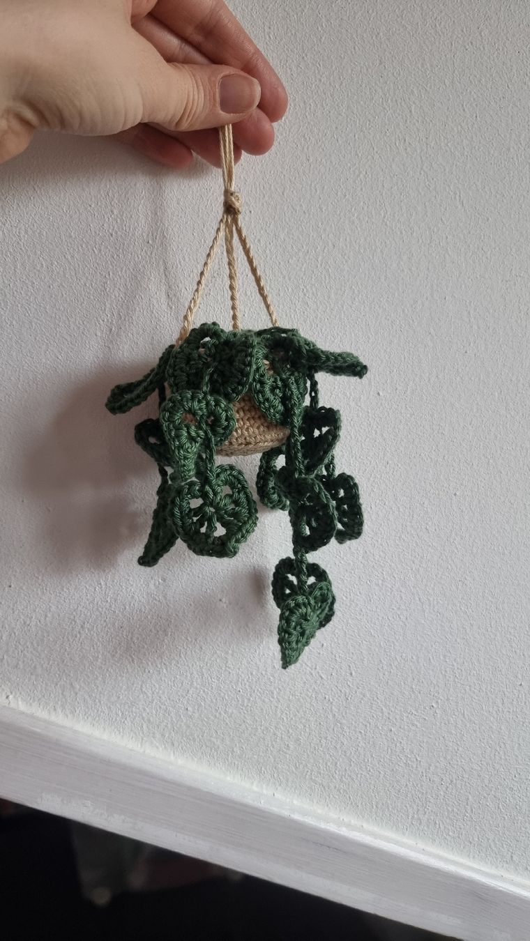 Toutes les décorations: Mini monstera au crochet – Neuf (Voir description) à Les Breuleux par Mily1991