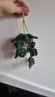 Mini monstera au crochet