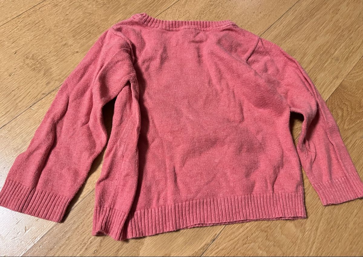 Carter's Maglioni & Felpe: Pullover Carter’s Pink Hund Gr. 18 M – Usato da Zollikerberg venduto da Huglina 1
