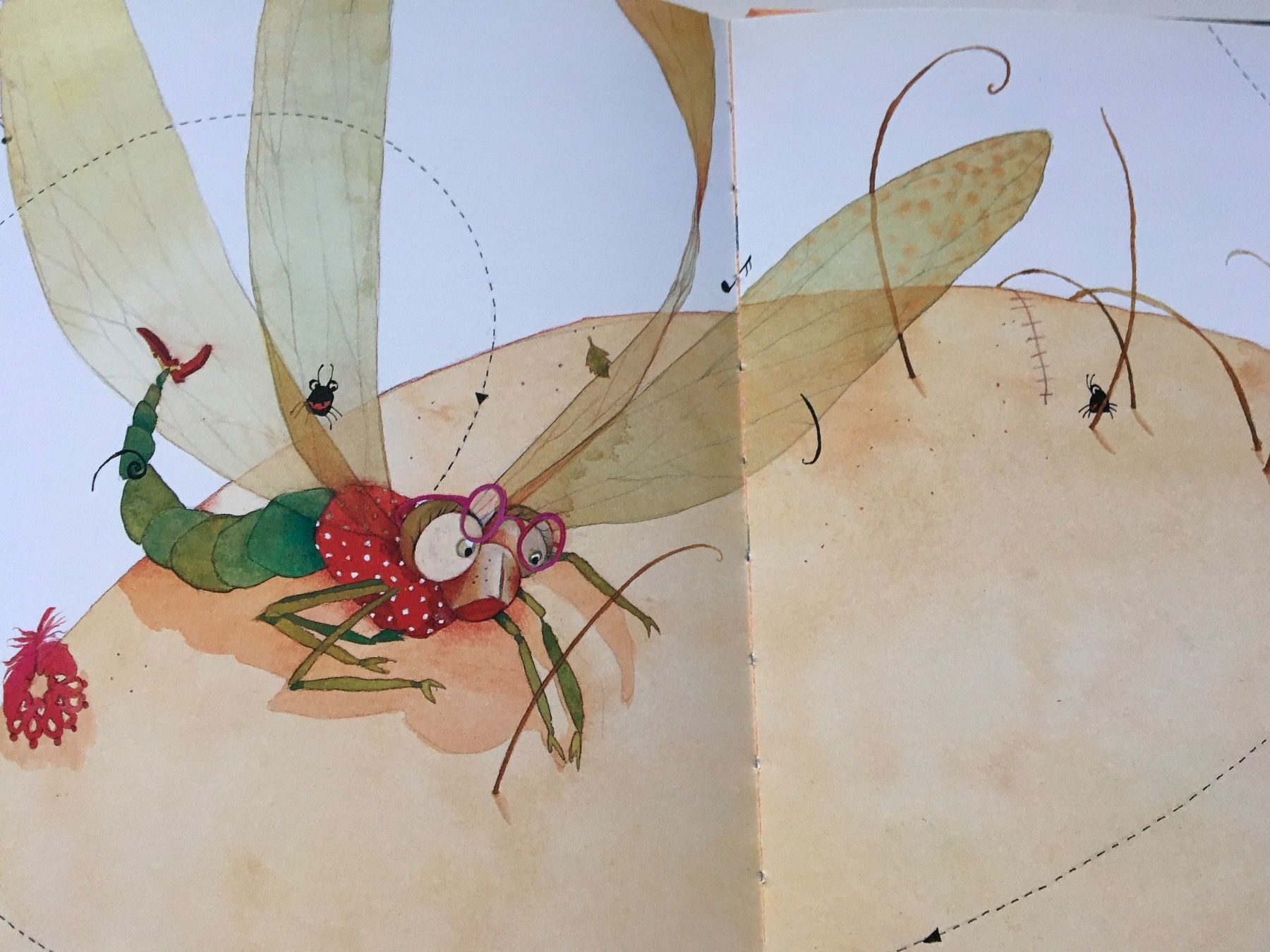 Libri: Lili la libellule           Bilboquet – Usato da Delémont venduto da vcx 5