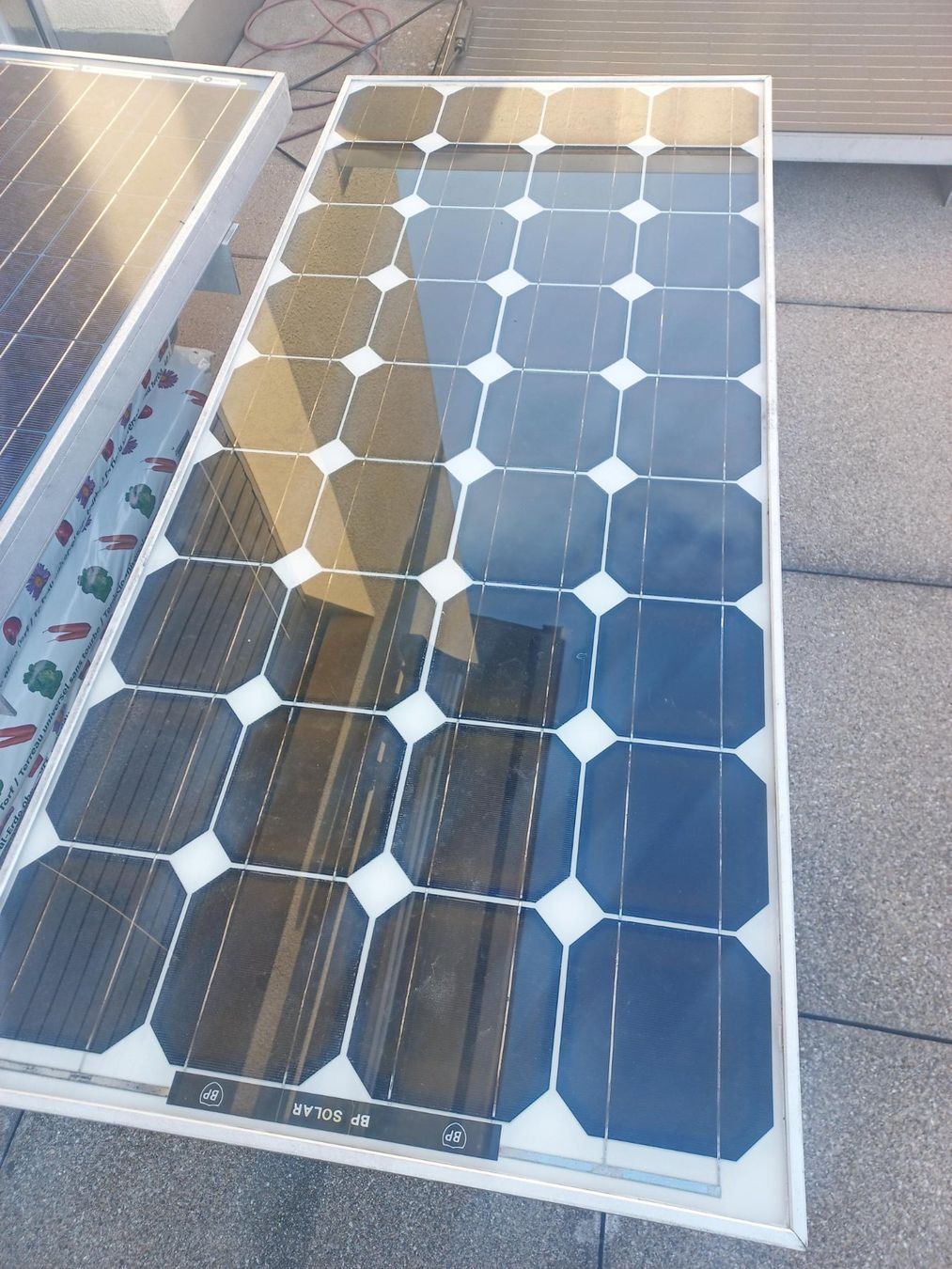 Panneaux solaires: BP Solar Solarmodul – D'occasion à Stein AG par Mertkan92