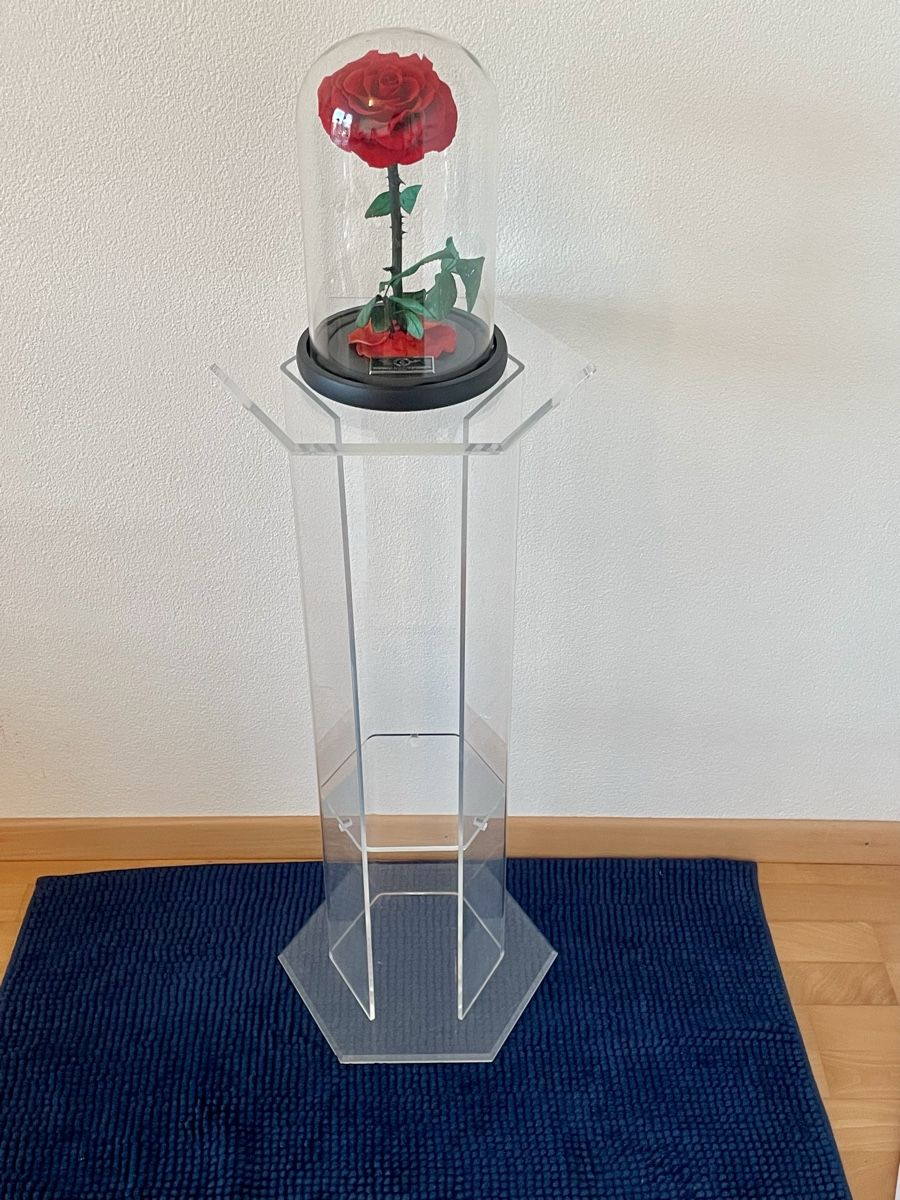 Altro in Decorazioni & Accessori: Acrylic Display Stand – Usato da Richterswil venduto da Prangins9