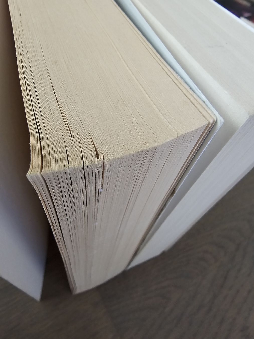 Libri: Otherworld - Kelley Armstrong – Usato da Hinterforst venduto da impatiently 4