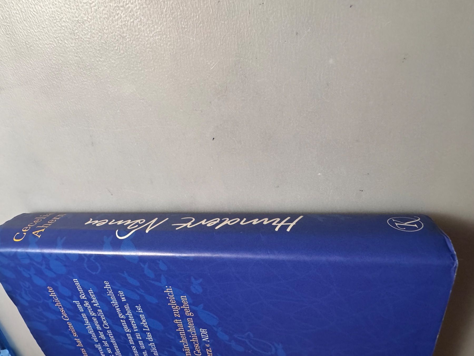 Libri: Cecelia Ahern - Hundert Namen – Usato da Winterthur venduto da tam_7tbh 4