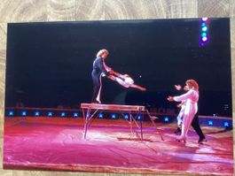 Circus Knie Foto 1993