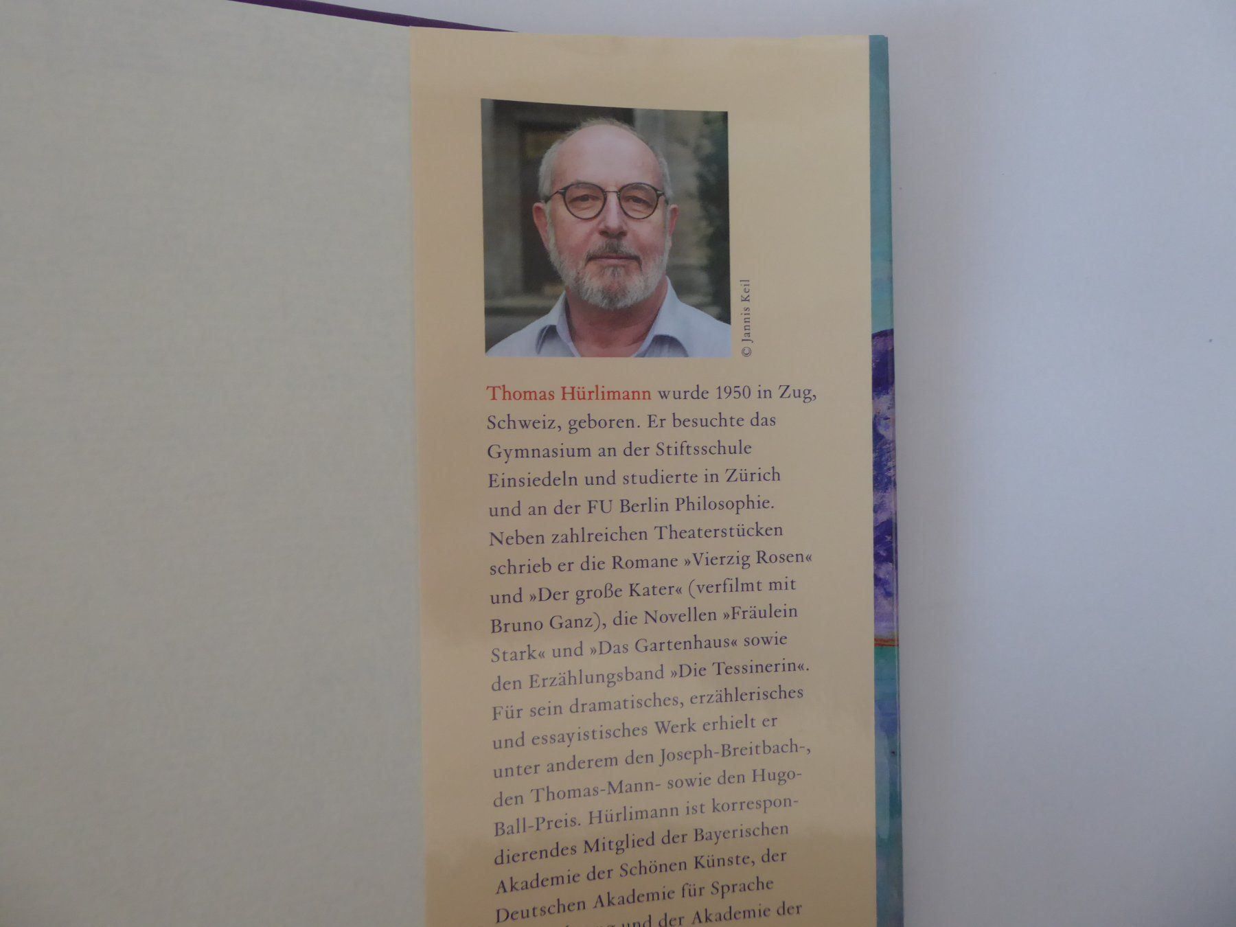Bücher: Roman: Heimkehr, Thomas Hürlimann – Neu (gemäss Beschreibung) aus Turbenthal von Panau 3