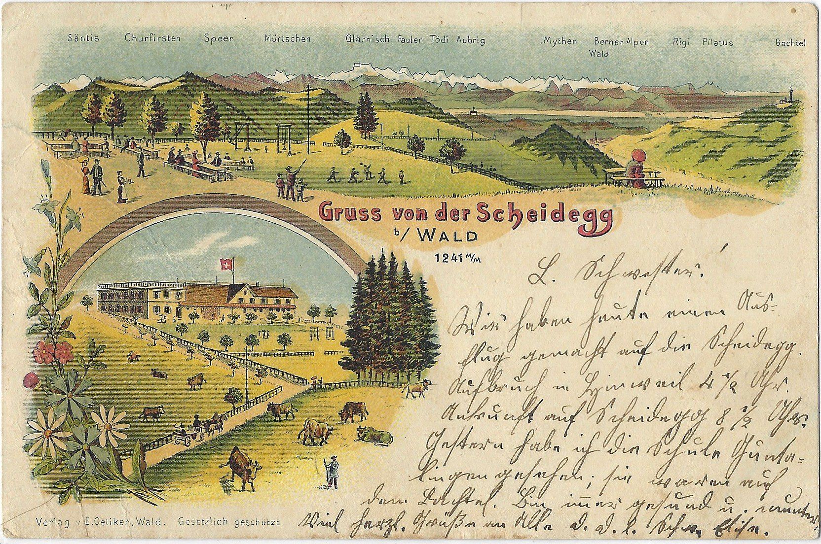 Cartoline postali: Gruss  von  der  Scheidegg  b/ Wald  1241 M/M – Usato da Bütschwil venduto da Jackson1A