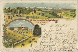 Gruss  von  der  Scheidegg  b/ Wald  1241 M/M