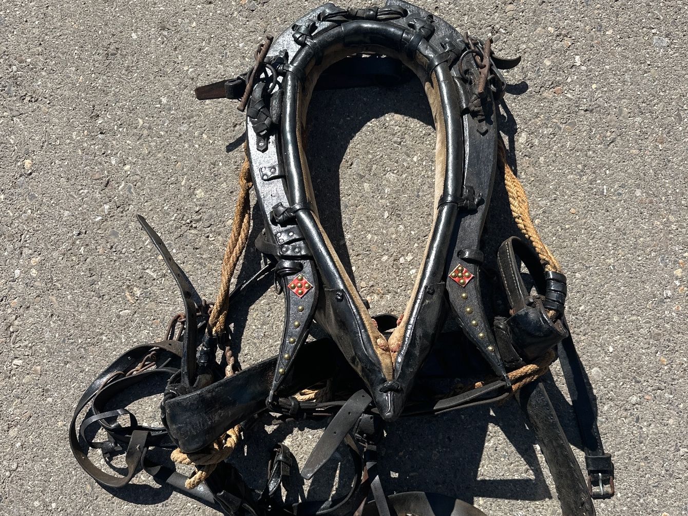 Brides, licols: Antiker Rosskummet – D'occasion à Rapperswil BE par andu12