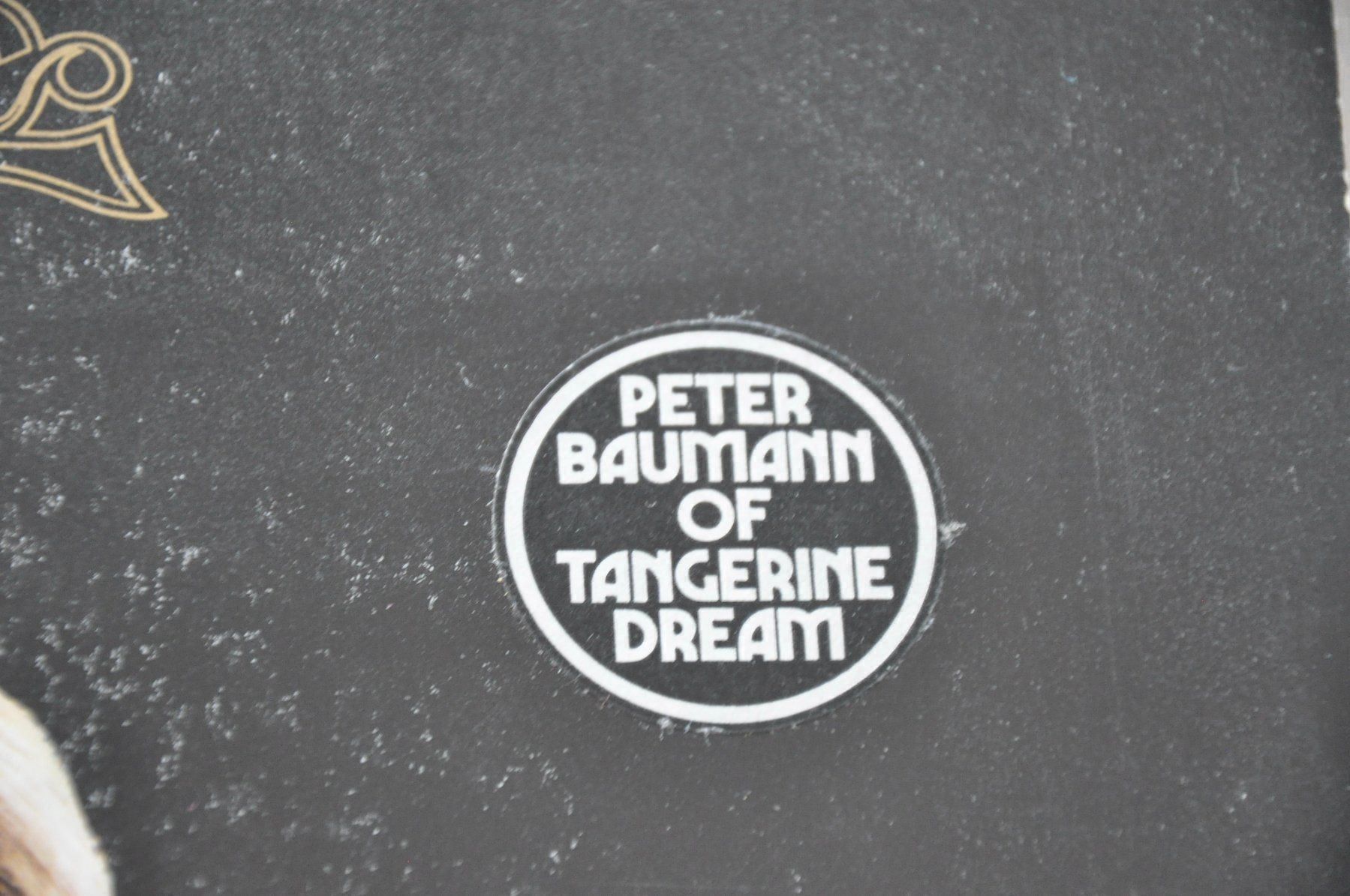 Dischi in vinile: PETER BAUMANN LP ROMANCE 76 – Usato da Sion venduto da jaipur1401 2