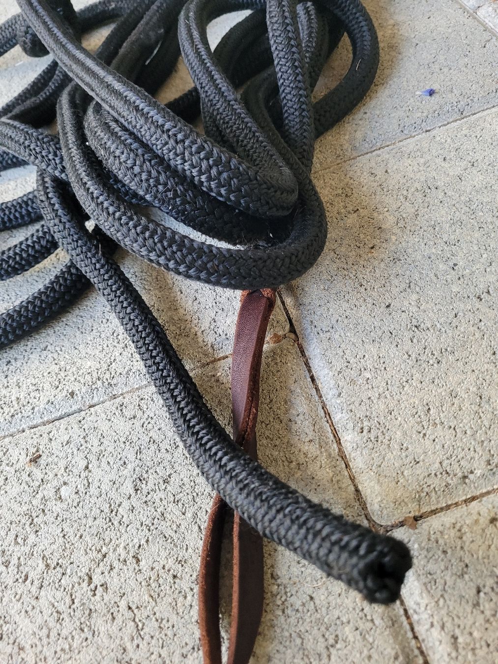 Parelli Briglie & Cavezze: Parelli Longierstrick ohne Halterung 6.50 m – Nuovo (secondo la descrizione) da Tegerfelden venduto da Tiggerfreund 2