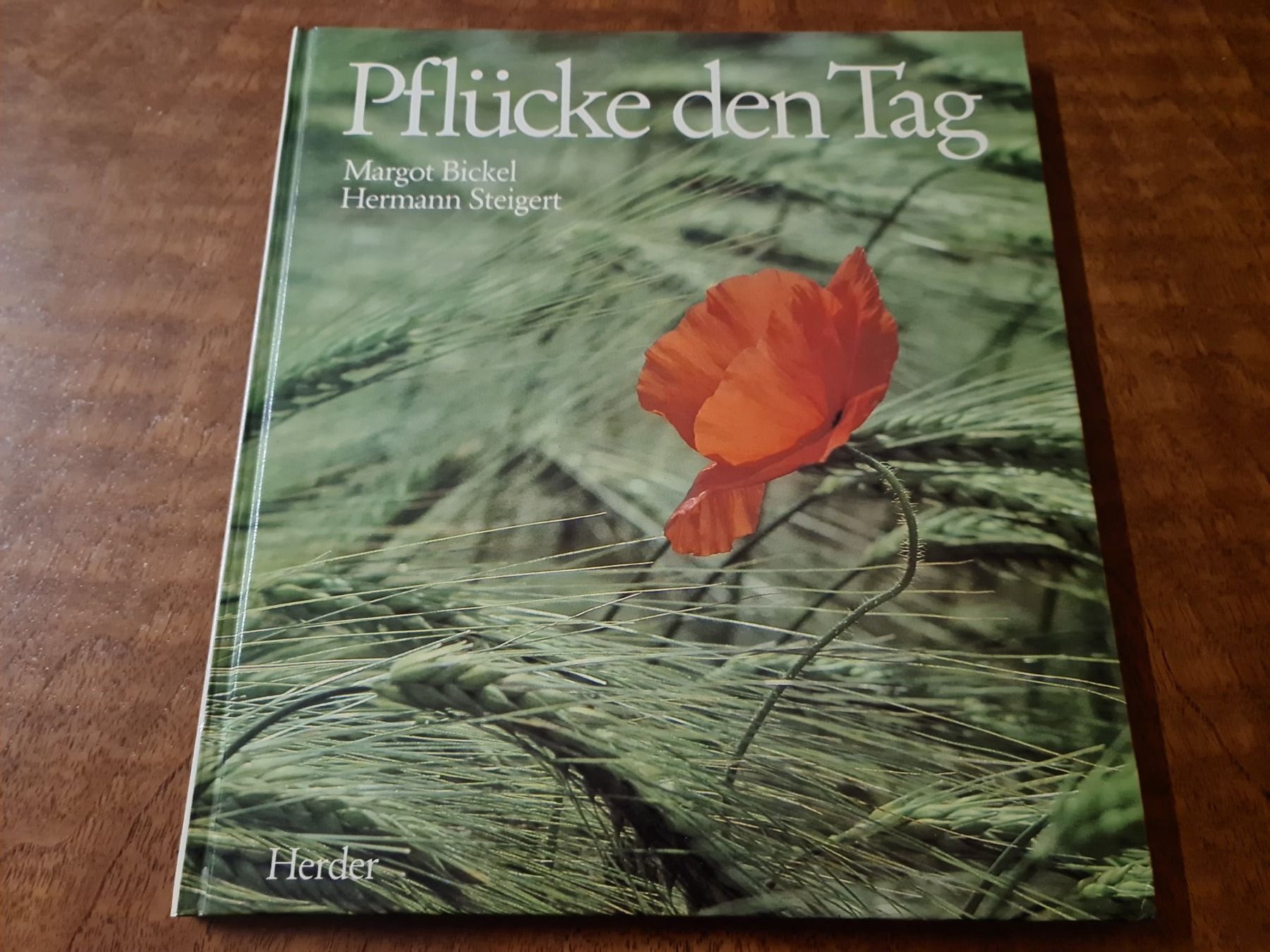 Libri: Pflücke den Tag – Usato da Erstfeld venduto da Mario_boe0
