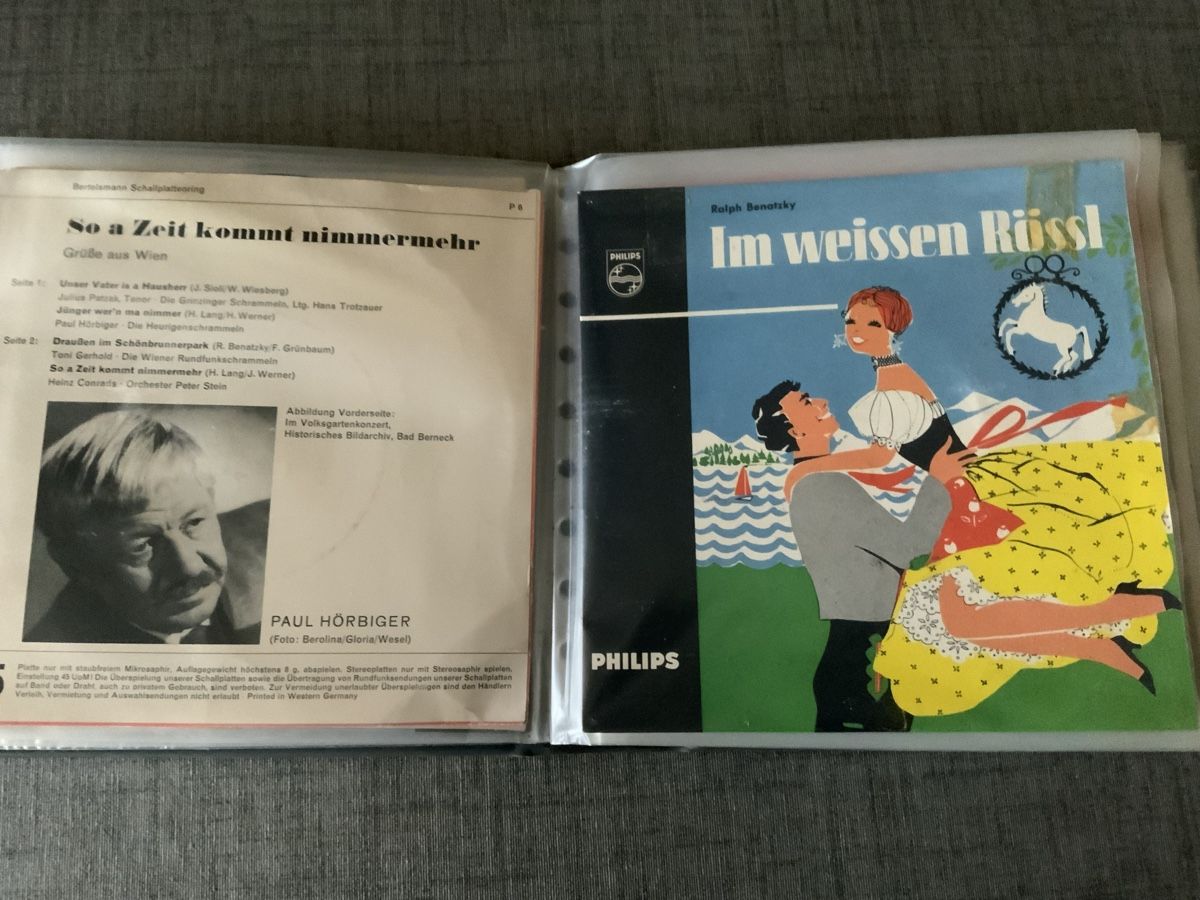 Dischi in vinile: Album mit 15 Vinylplatten – Usato da Magden venduto da rom_5zrl 5