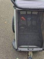 Thule Chariot Lite 2 Agave 2021