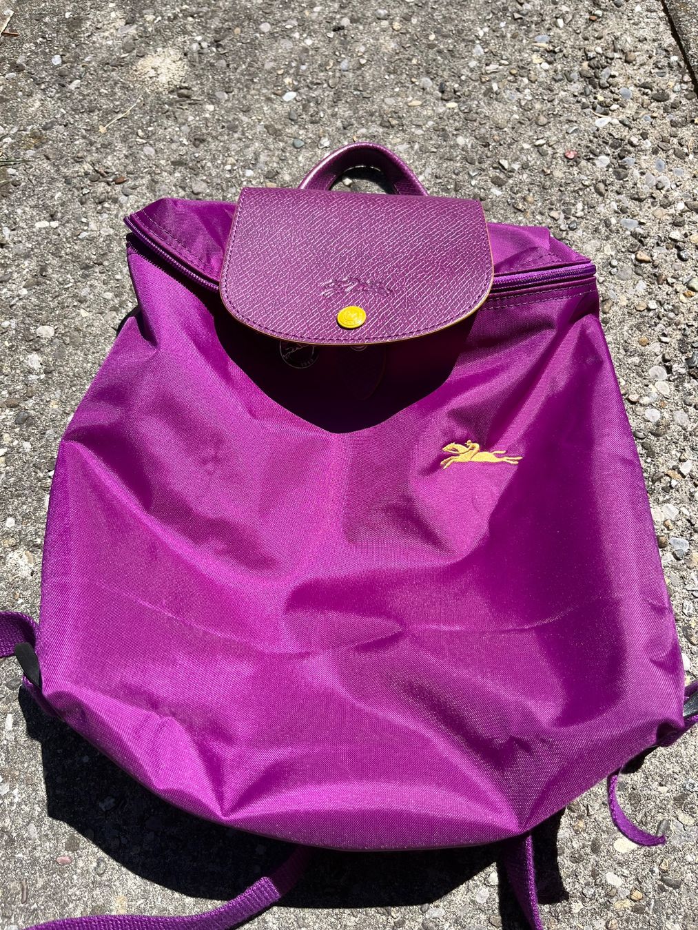 Longchamp Zaini: Longchamp Rucksack – Nuovo (secondo la descrizione) da Saland venduto da ricarda025 1