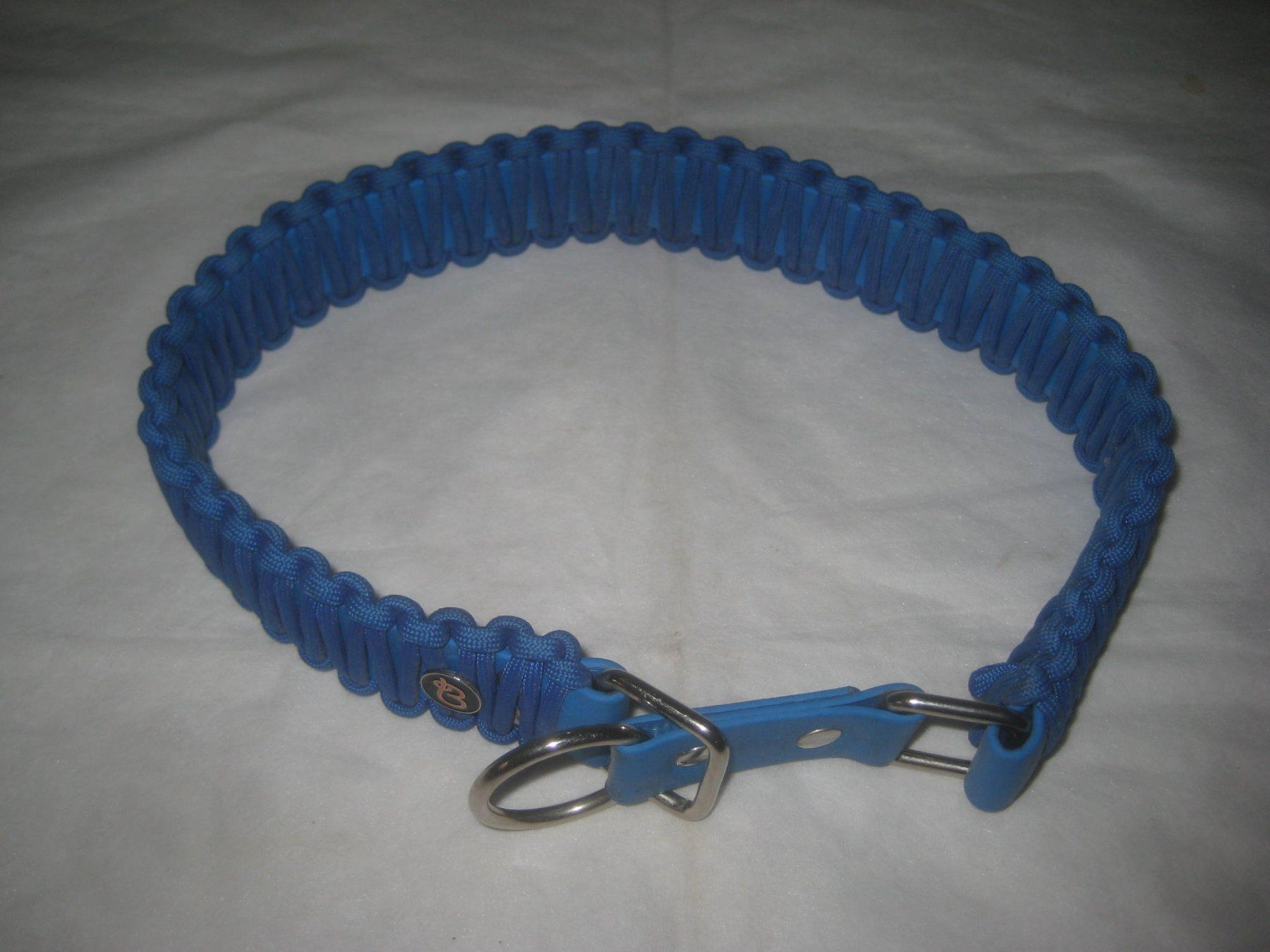 Collier et laisse: HUNDE HALSBAND – Neuf (Voir description) à Uster par flocke1