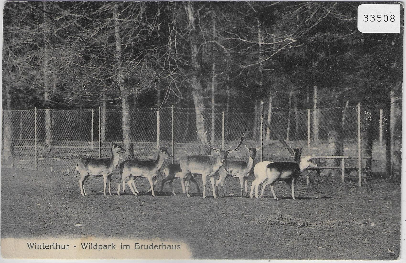 Cartoline postali: Winterthur - Wildpark im Bruderhaus – Usato da Ettingen venduto da Kartenplanet