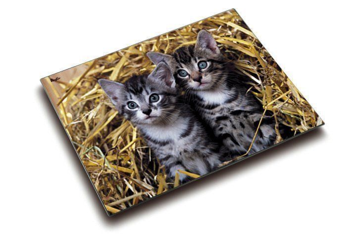 Scrivanie: Schreibunterlage Katzen, 40x53 cm – Nuovo e nell'imballaggio originale da St. Gallen venduto da cointec 1