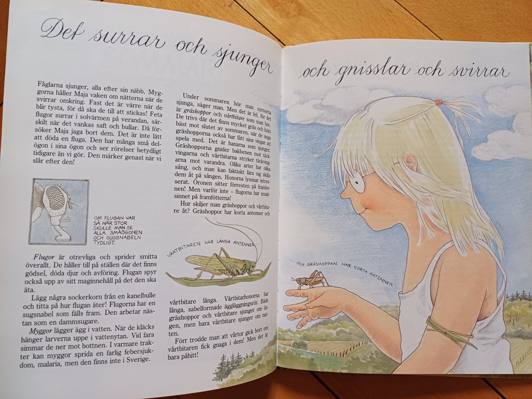 Libri: Schwedischer Kinderbuchklassiker – Usato da Bern venduto da Akatinka 1
