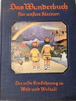 Das Wunderbuch für unsere Kleinen 1926 Kinderbuch antike top