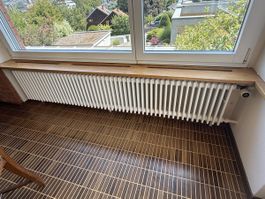 Klassischer Stahl-Rippenheizkörper mit Danfoss-Thermostat – 