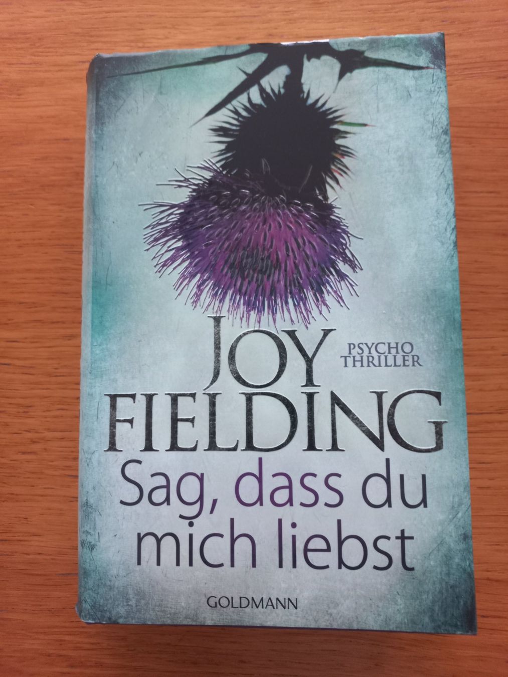 Libri: Sag, dass du mich liebst - Joy Fielding – Usato da Moosseedorf venduto da Previa1