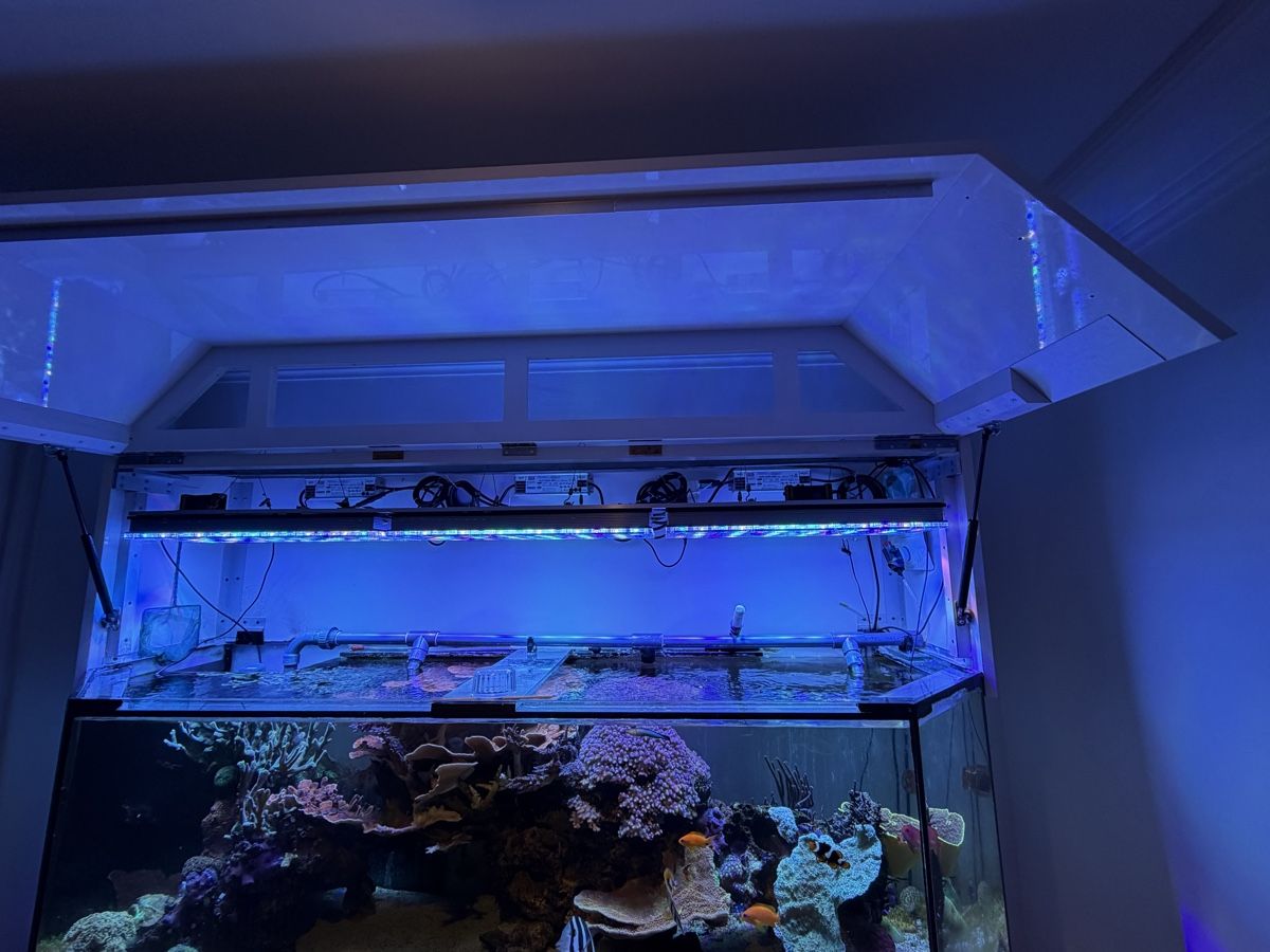 Aquarium: Aquarium/Terrarium – Gebraucht aus Jonschwil von ursula9 4