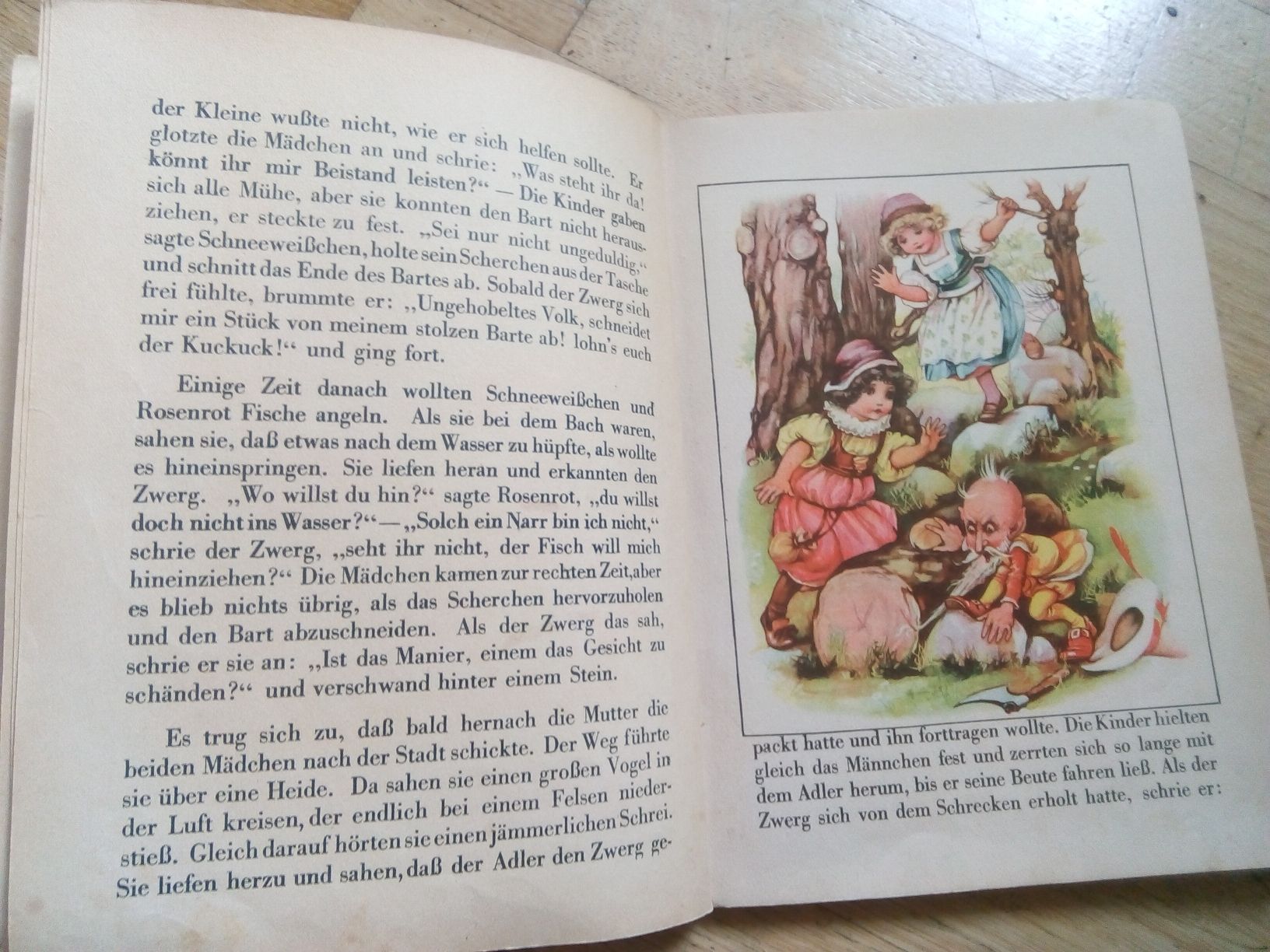 Libri: Rotkäppchen und andere Märchen von Gebrüder Grimm – Usato da St. Gallen venduto da elk2024 3