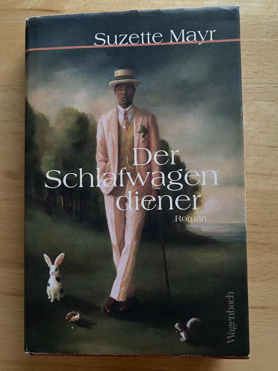 Bücher: Der Schlafwagendiener - Suzette Mayr – Gebraucht aus Schwarzenburg von Michellu