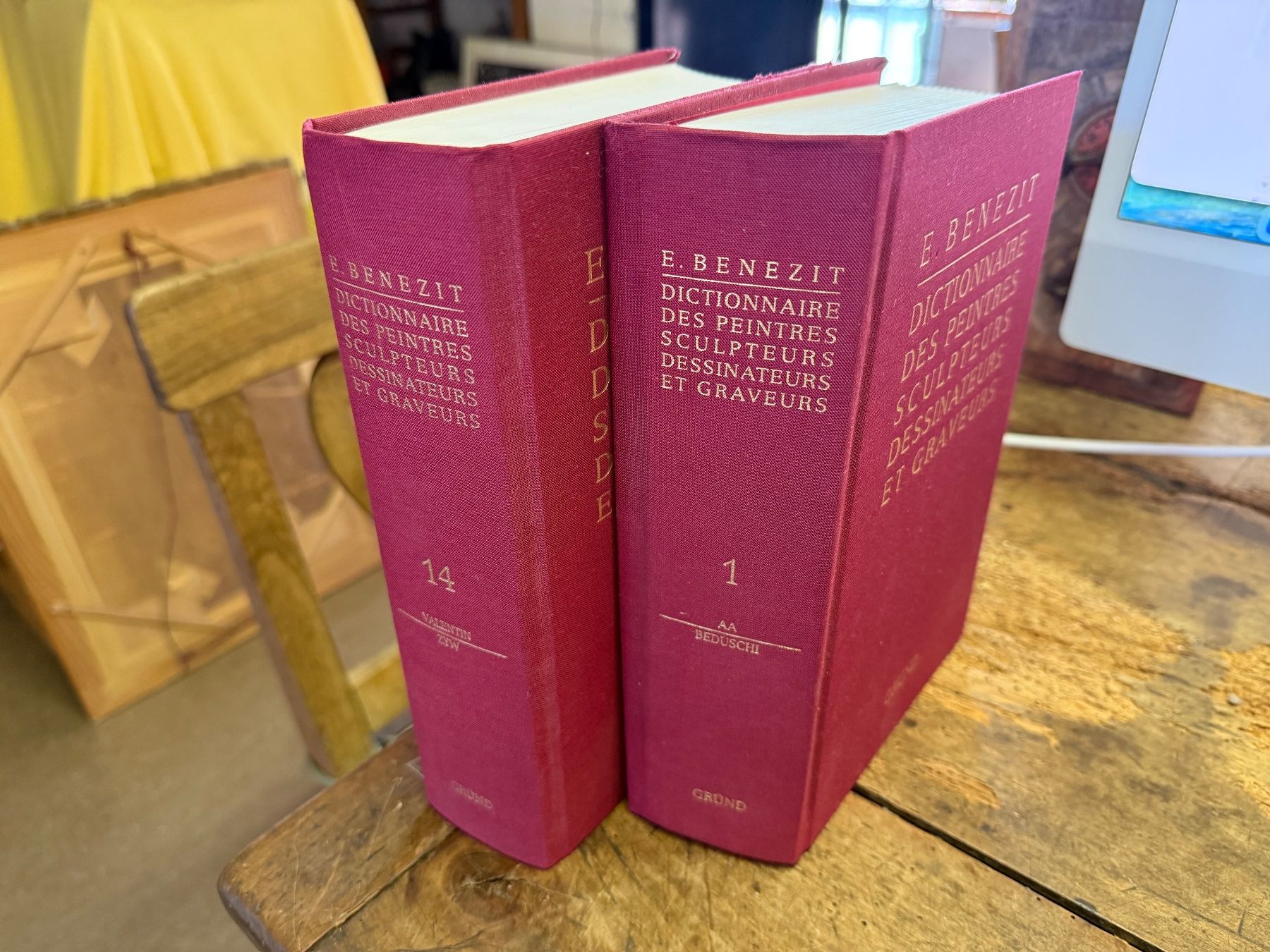 Livres: Benezit 2 Bände neuwertig – D'occasion à Bern par Jwpm66