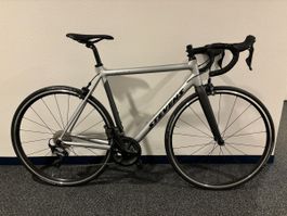 Stevens Aspin Rennrad 56cm neuwertig 