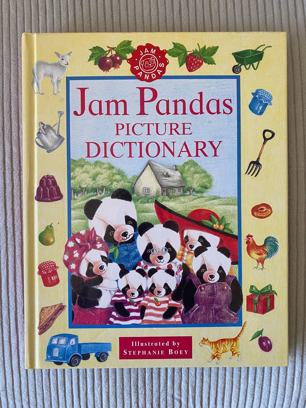 Livre « Jam Pandas picture dictionary » en anglais (D'occasion) à ...