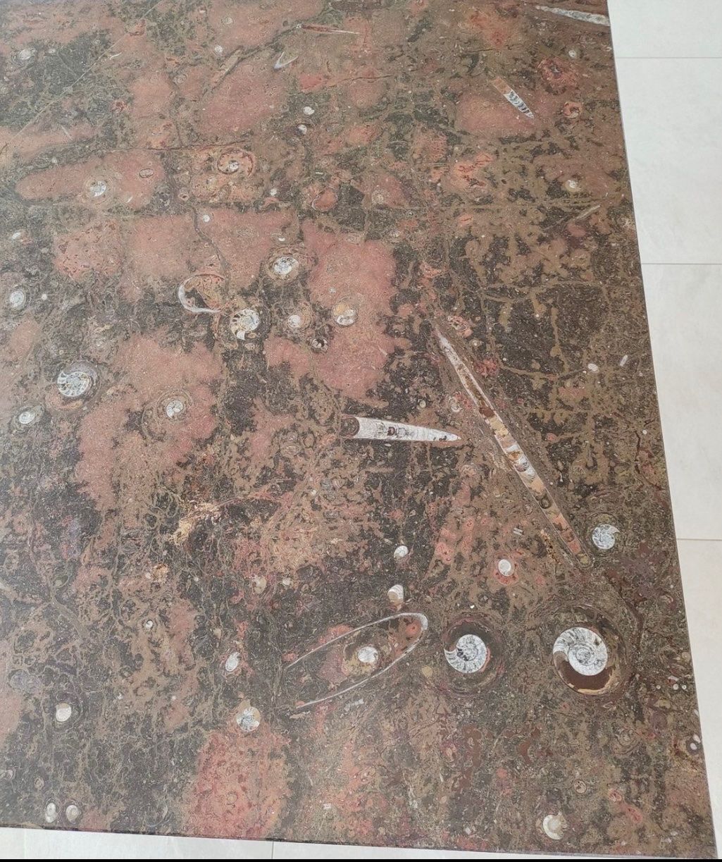 Tavoli: Marmor Esstisch 160cm – Usato da Olten venduto da Laumo112 1
