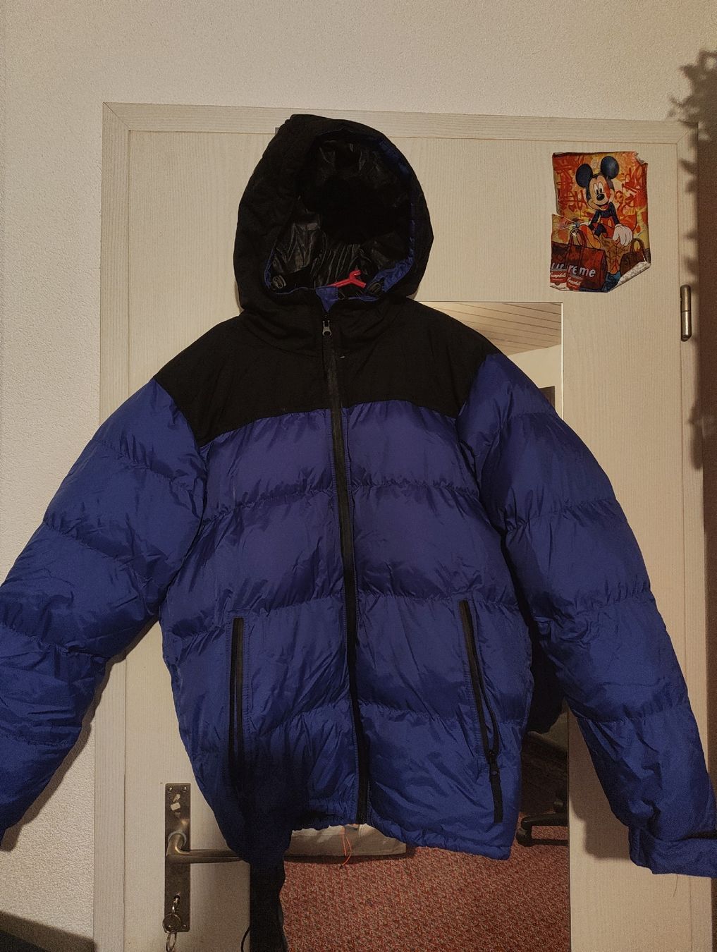 Cappotti: Winterjacke (North Face ähnlich) – Usato da Derendingen venduto da rob_wdn7 3