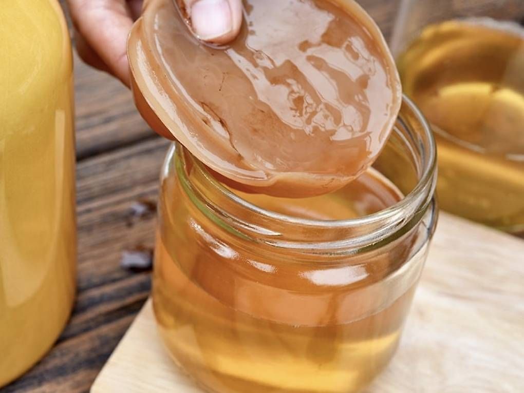 Kombucha Kefir (D&amp;#39;occasion) à Cudrefin pour CHF 8 – retrait uniquement ...