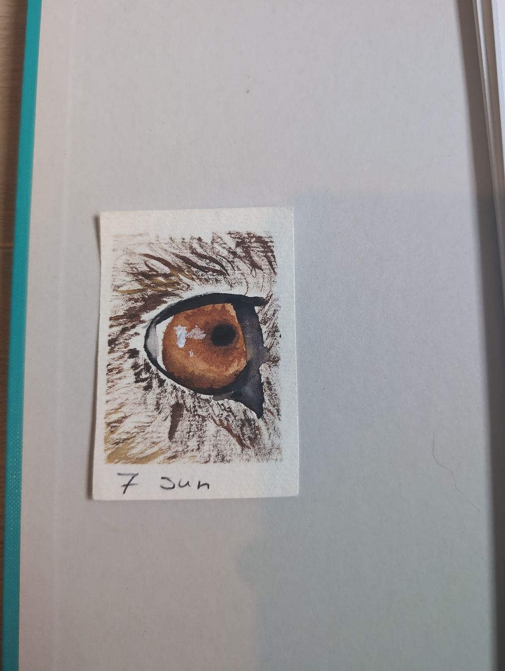 Dipinti: Original Aquarell  – Nuovo e nell'imballaggio originale da Zürich venduto da cal_2zxq