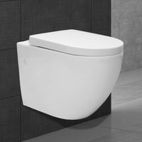 Spülrandloses Hänge WC lang weiß