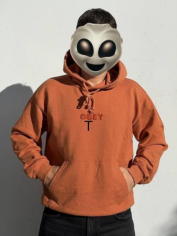 Obey Pullover & Sweatshirts: OBEY Hoodie Kapuzenpullover mit Logo – Gebraucht aus Meggen von gia_wz2q 4