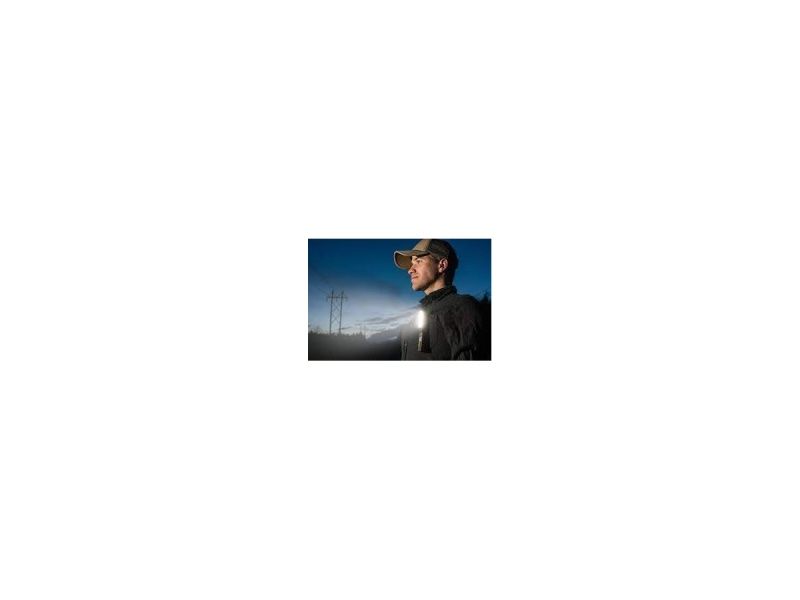 Lampade: neue Cat CT1200 LED Arbeitsleuchte – Nuovo e nell'imballaggio originale da Necker venduto da liq24 2