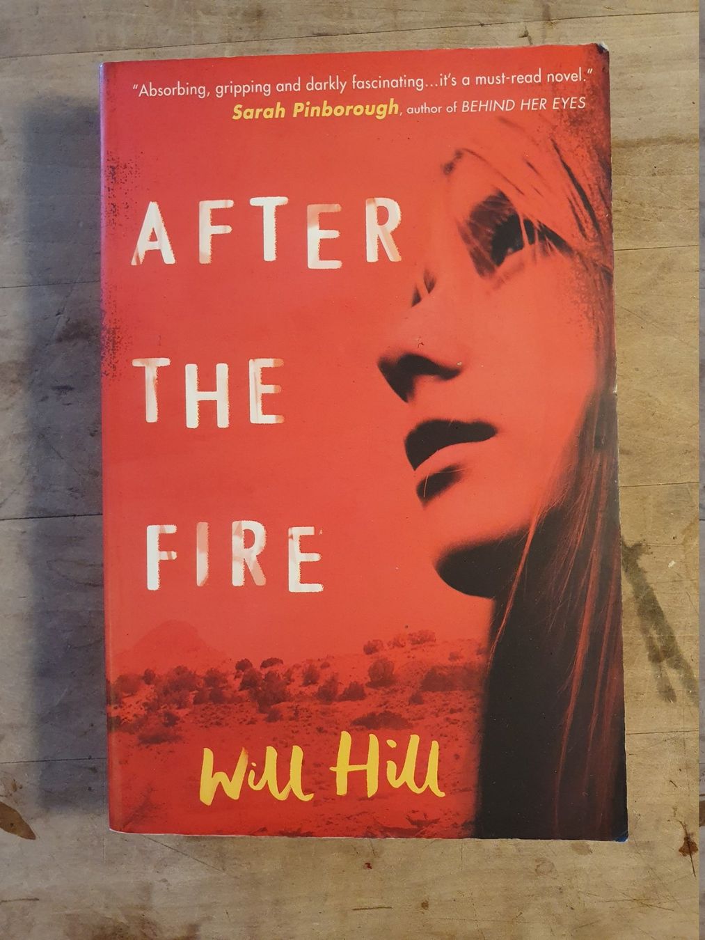 Libri: After The Fire - Will Hill - Usborne – Usato da Zürich venduto da loosebone
