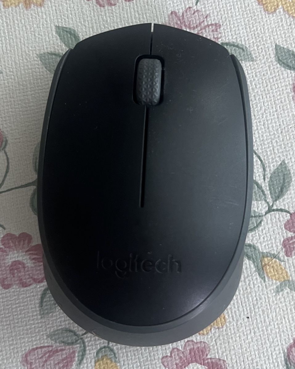 Logitech Souris: Souris Logitech M171 sans dongle  – Défectueux à Corpataux par leajsl