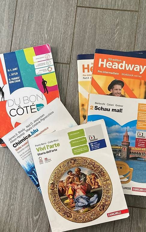 Libri: Diversi libri 1a liceo Mendrisio – Usato da Rancate venduto da sanaman