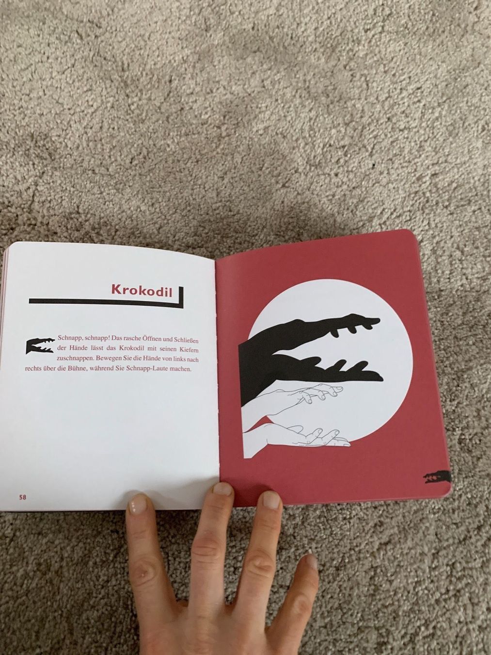 Libri: Buch Schattenfiguren  neu – Nuovo (secondo la descrizione) da Oberweningen venduto da Jogi2 1